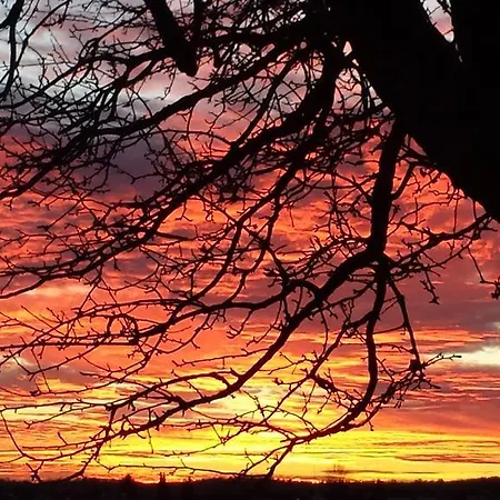 Гостевой дом Minsion 38